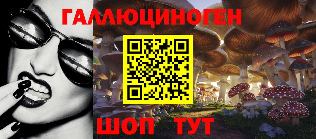 где купить наркоту  Псилоцибиновые грибы Psilocybe  Вход с VPN  Пенза 